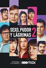 Poster de la película Sex, Shame and Tears 2