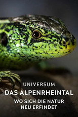 Poster de la película Das Alpenrheintal – Wo sich die Natur neu erfindet