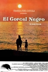 Poster de la película El corcel negro