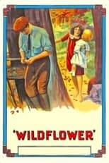 Poster de la película Wildflower