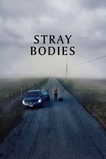 Poster de la película Stray Bodies