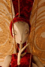 Poster de la película The Butterfly Woman