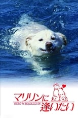 Poster de la película Shiro and Marilyn