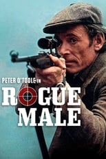 Poster de la película Rogue Male