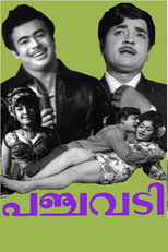 Poster de la película Panchavadi