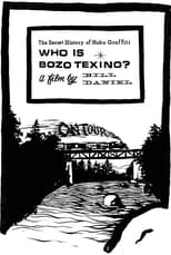 Poster de la película Who Is Bozo Texino?