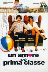 Poster de la película Love in First Class