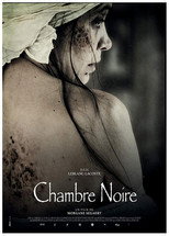 Poster de la película The Dark Room
