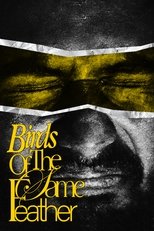 Poster de la película Birds Of The Same Feather.