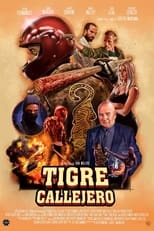 Poster de la película Tigre Callejero