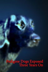 Poster de la película Pedigree Dogs Exposed: Three Years On
