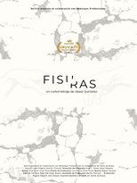 Poster de la película Fisuras