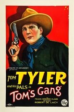 Poster de la película Tom's Gang