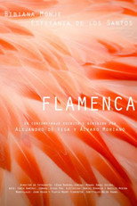 Poster de la película Flamenca