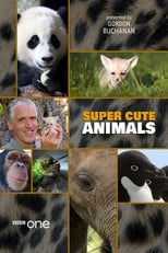 Poster de la película Super Cute Animals