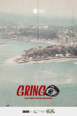 Poster de la película Gringo