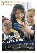 Poster de la película Magical Secret Tour