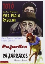 Poster de la película Pajaritos y pajarracos