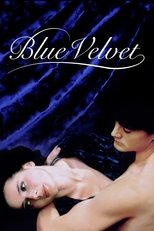 Poster de la película Blue Velvet