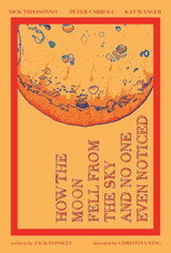 Poster de la película How the Moon Fell from the Sky and No One Even Noticed