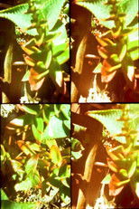 Poster de la película Gardens