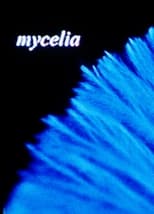 Poster de la película mycelia