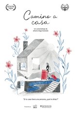 Poster de la película Camino a casa