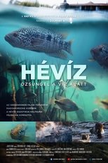 Poster de la película Hévíz − Dzsungel a víz alatt
