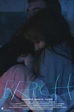 Poster de la película Breakage