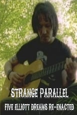Poster de la película Strange Parallel
