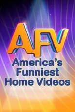 Poster de la serie America's Funniest Home Videos