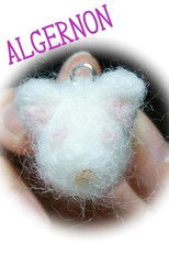 Poster de la serie Flowers for Algernon