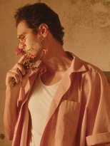 Poster de la película Fever Dream