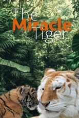 Poster de la serie The Miracle Tiger