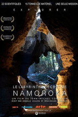 Poster de la película Le Labyrinthe secret de Namoroka
