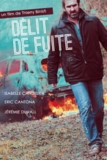 Poster de la película Délit de fuite