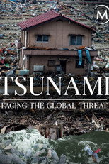 Poster de la película Tsunamis: Facing a Global Threat