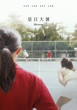 Poster de la película Blossom