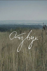 Poster de la película Echo