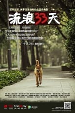 Poster de la película 流浪33天