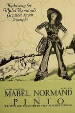 Poster de la película Pinto