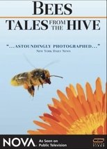 Poster de la película Bees - Tales from the Hive