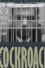 Poster de la película The Cockroach