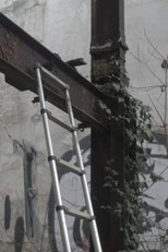 Poster de la película (Crystal Christ 3)