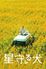 Poster de la película Star Watching Dog