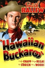 Poster de la película Hawaiian Buckaroo
