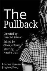 Poster de la película The Pullback