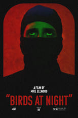 Poster de la película Birds at Night