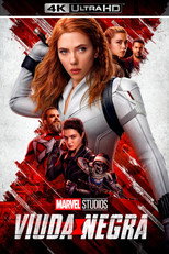 Poster de la película Viuda Negra