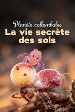 Poster de la película Springtails: The hidden soldiers of Earth